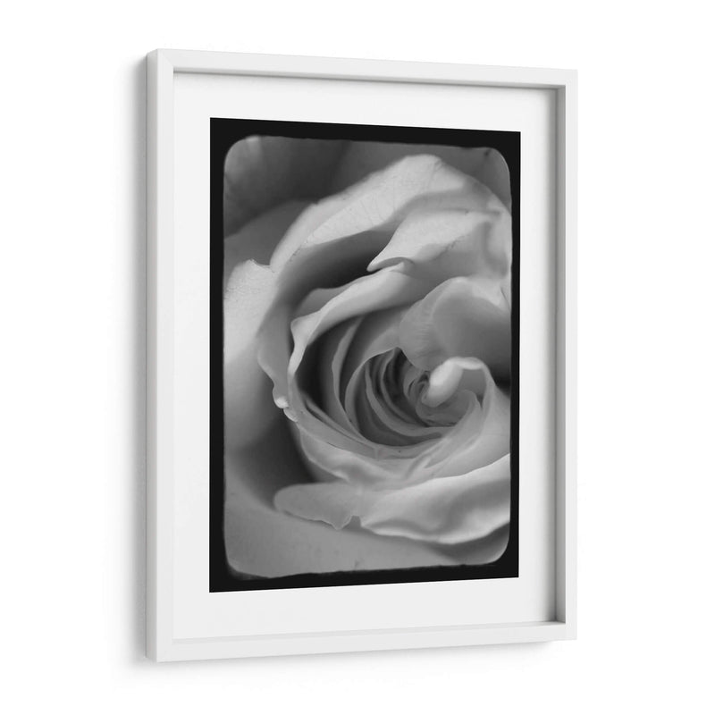 Espiral Rosa I - Judy Stalus | Cuadro decorativo de Canvas Lab