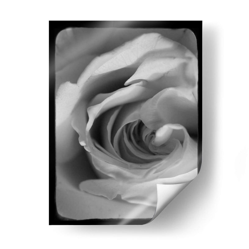 Espiral Rosa I - Judy Stalus | Cuadro decorativo de Canvas Lab