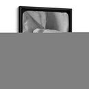 Rosa Espiral Ii - Judy Stalus | Cuadro decorativo de Canvas Lab