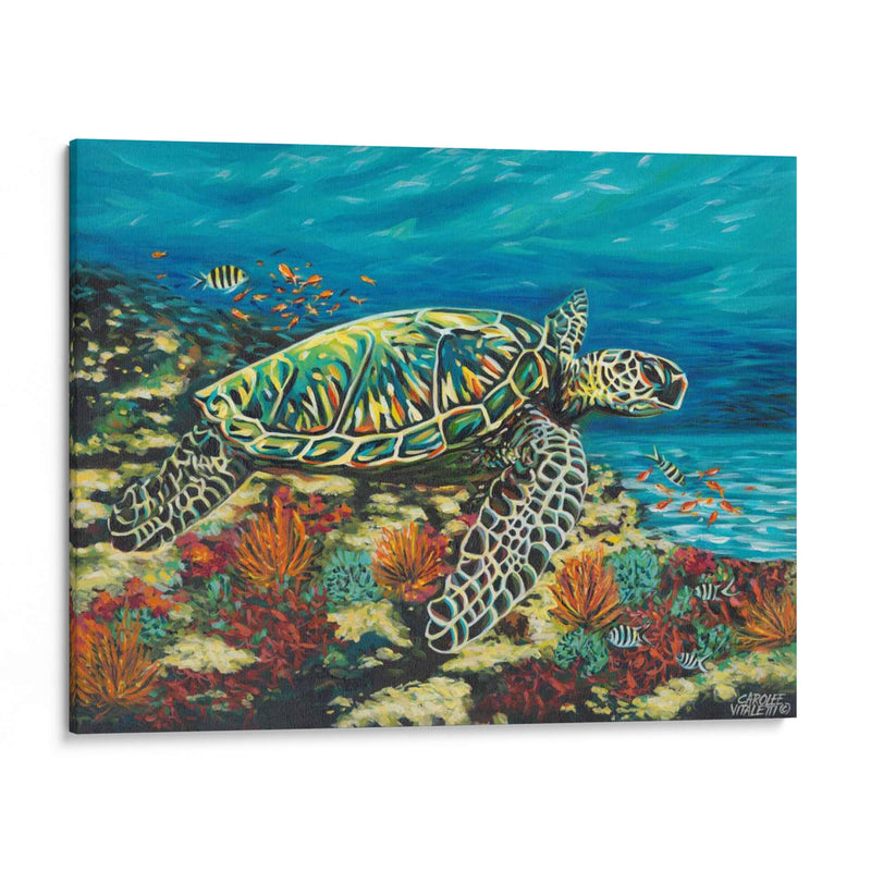 Mar De Mar Profundo Ii - Carolee Vitaletti | Cuadro decorativo de Canvas Lab