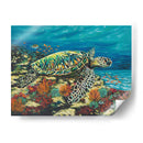 Mar De Mar Profundo Ii - Carolee Vitaletti | Cuadro decorativo de Canvas Lab