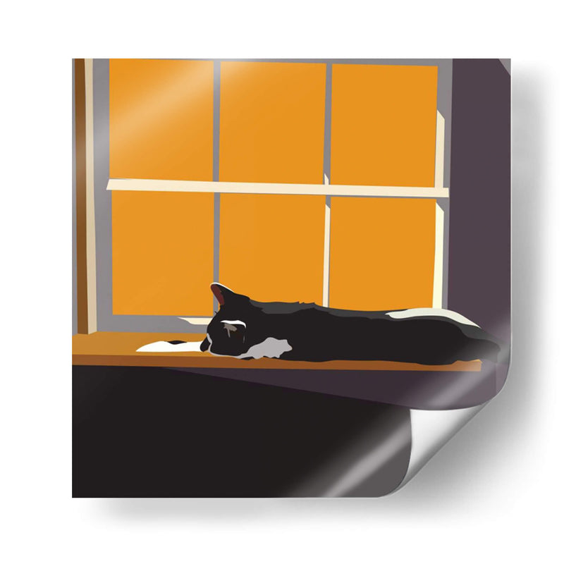 Gato En Un Alféizar De Ventana Ii - Emily Kalina | Cuadro decorativo de Canvas Lab