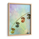 Rainbow Ferris Wheel Ii - Sylvia Coomes | Cuadro decorativo de Canvas Lab