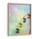 Rainbow Ferris Wheel V - Sylvia Coomes | Cuadro decorativo de Canvas Lab