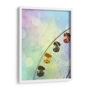 Rainbow Ferris Wheel V - Sylvia Coomes | Cuadro decorativo de Canvas Lab