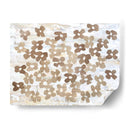 Posías Estampadas I - Natalie Avondet | Cuadro decorativo de Canvas Lab