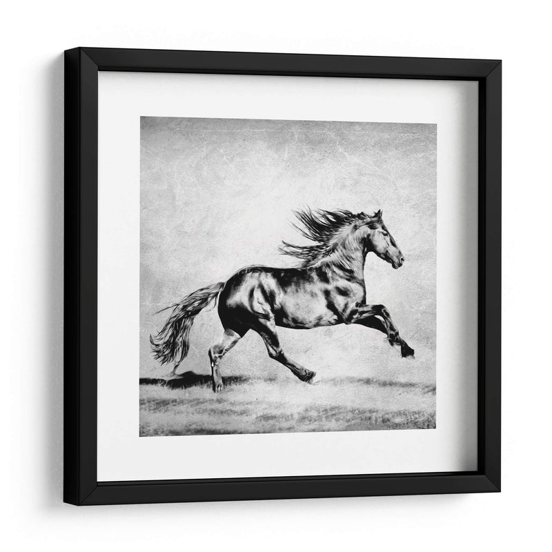 Bandw Horses Ii - PH Burchett | Cuadro decorativo de Canvas Lab