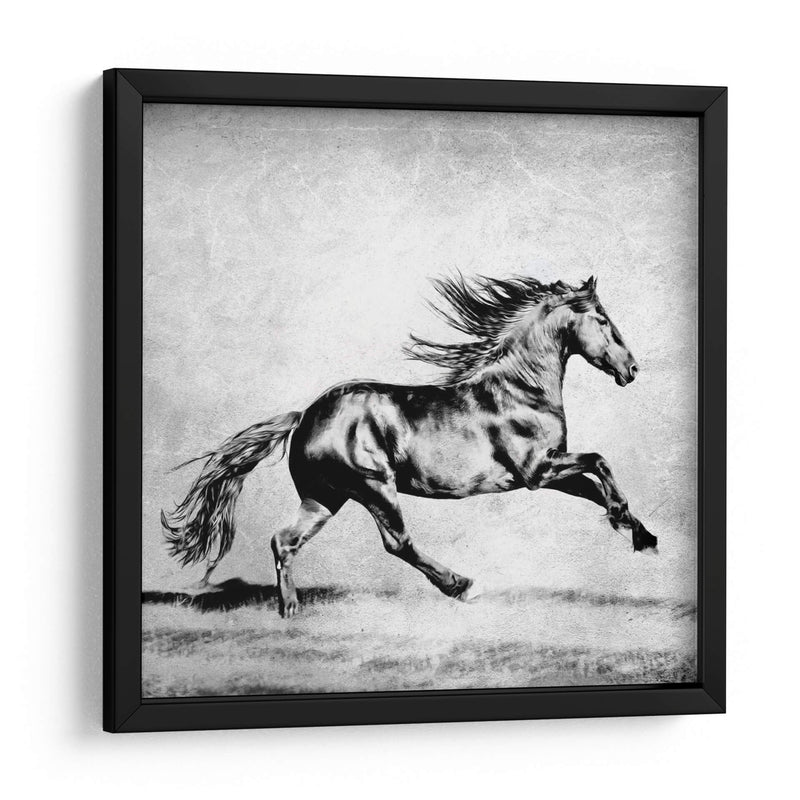 Bandw Horses Ii - PH Burchett | Cuadro decorativo de Canvas Lab