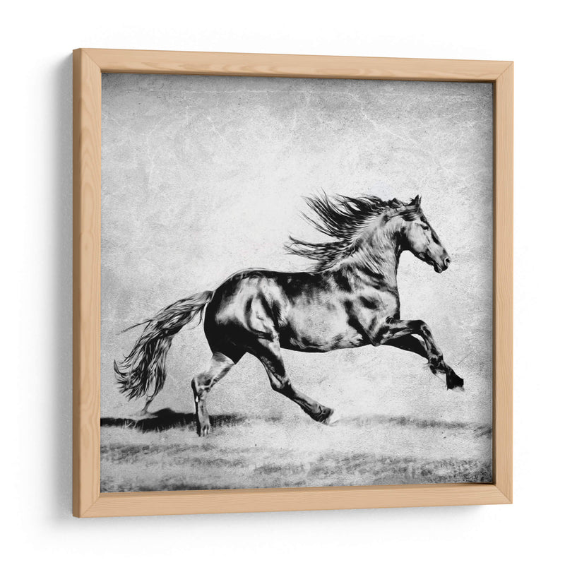 Bandw Horses Ii - PH Burchett | Cuadro decorativo de Canvas Lab