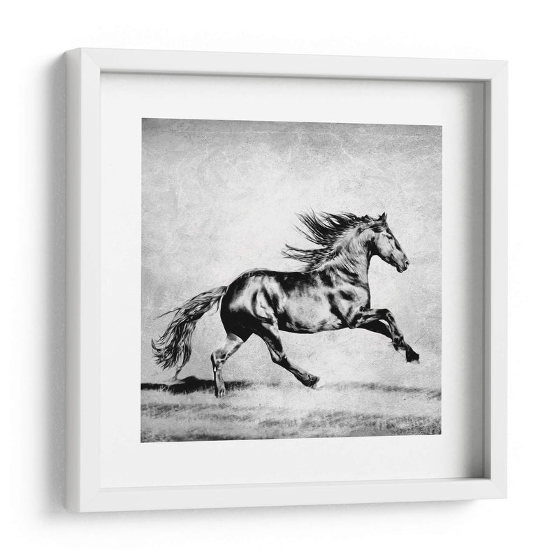 Bandw Horses Ii - PH Burchett | Cuadro decorativo de Canvas Lab