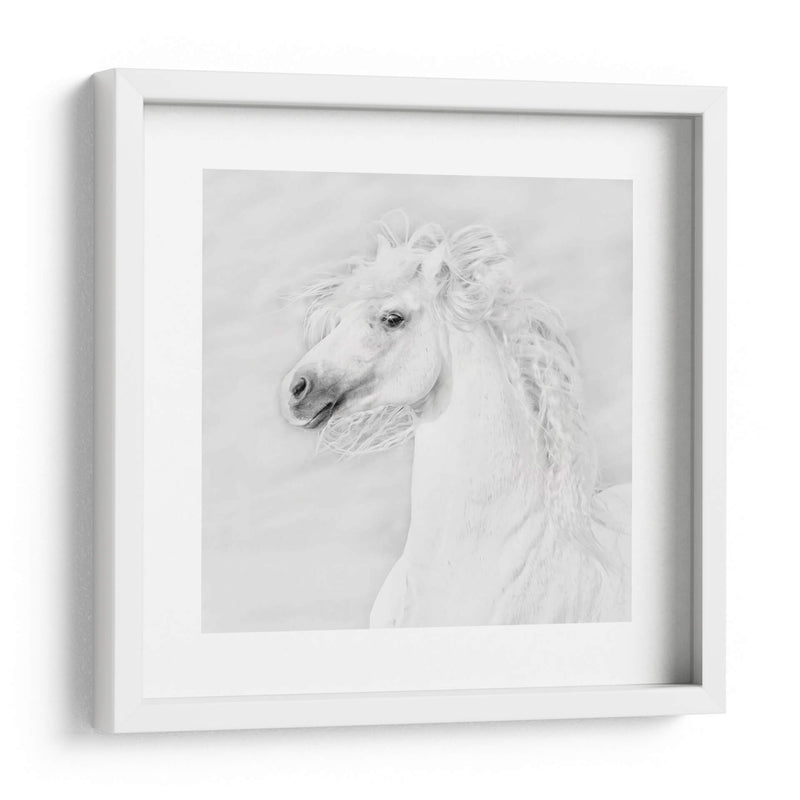 Bandw Horses Iii - PH Burchett | Cuadro decorativo de Canvas Lab