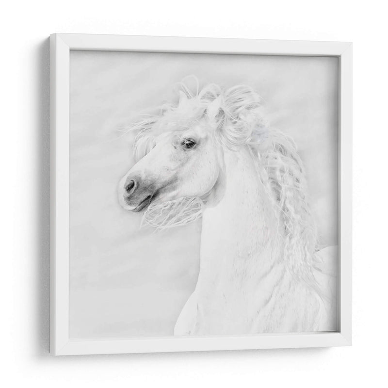 Bandw Horses Iii - PH Burchett | Cuadro decorativo de Canvas Lab