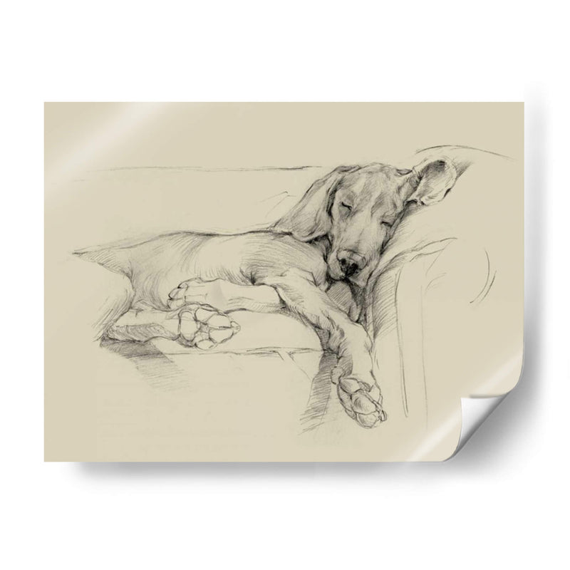 Doy Dies - Ethan Harper | Cuadro decorativo de Canvas Lab