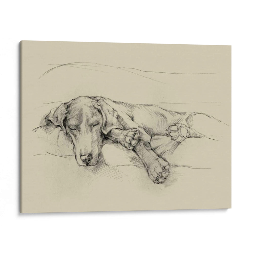 Días De Perro Ii - Ethan Harper | Cuadro decorativo de Canvas Lab