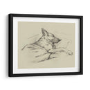 Días De Perro Iv - Ethan Harper | Cuadro decorativo de Canvas Lab