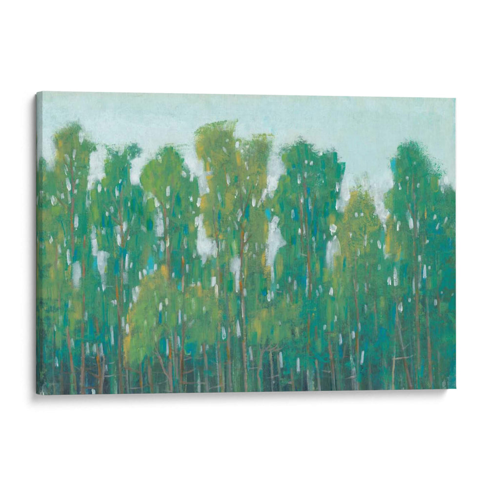 Bosque Verde Ii - Tim OToole | Cuadro decorativo de Canvas Lab