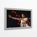 Freddie Mercury en escenario | Cuadro decorativo de Canvas Lab