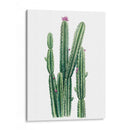 Blooms Del Desierto Ii - Grace Popp | Cuadro decorativo de Canvas Lab