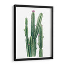 Blooms Del Desierto Ii - Grace Popp | Cuadro decorativo de Canvas Lab