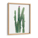 Blooms Del Desierto Ii - Grace Popp | Cuadro decorativo de Canvas Lab