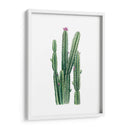 Blooms Del Desierto Ii - Grace Popp | Cuadro decorativo de Canvas Lab