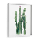 Blooms Del Desierto Ii - Grace Popp | Cuadro decorativo de Canvas Lab