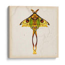 Estudio De Mariposa I - Melissa Wang | Cuadro decorativo de Canvas Lab