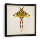 Estudio De Mariposa I - Melissa Wang | Cuadro decorativo de Canvas Lab