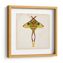 Estudio De Mariposa I - Melissa Wang | Cuadro decorativo de Canvas Lab