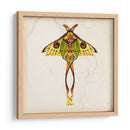 Estudio De Mariposa I - Melissa Wang | Cuadro decorativo de Canvas Lab