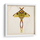 Estudio De Mariposa I - Melissa Wang | Cuadro decorativo de Canvas Lab