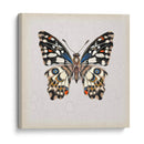 Estudio De Mariposa Ii - Melissa Wang | Cuadro decorativo de Canvas Lab