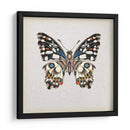 Estudio De Mariposa Ii - Melissa Wang | Cuadro decorativo de Canvas Lab