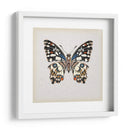 Estudio De Mariposa Ii - Melissa Wang | Cuadro decorativo de Canvas Lab