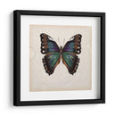 Estudio De Mariposa Iii - Melissa Wang | Cuadro decorativo de Canvas Lab