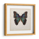 Estudio De Mariposa Iii - Melissa Wang | Cuadro decorativo de Canvas Lab