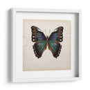 Estudio De Mariposa Iii - Melissa Wang | Cuadro decorativo de Canvas Lab