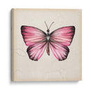 Estudio De Mariposa Iv - Melissa Wang | Cuadro decorativo de Canvas Lab