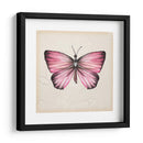 Estudio De Mariposa Iv - Melissa Wang | Cuadro decorativo de Canvas Lab