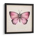 Estudio De Mariposa Iv - Melissa Wang | Cuadro decorativo de Canvas Lab