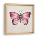 Estudio De Mariposa Iv - Melissa Wang | Cuadro decorativo de Canvas Lab