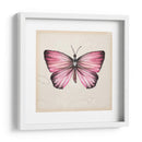 Estudio De Mariposa Iv - Melissa Wang | Cuadro decorativo de Canvas Lab