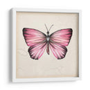 Estudio De Mariposa Iv - Melissa Wang | Cuadro decorativo de Canvas Lab