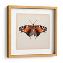 Estudio De Mariposa V - Melissa Wang | Cuadro decorativo de Canvas Lab