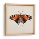 Estudio De Mariposa V - Melissa Wang | Cuadro decorativo de Canvas Lab