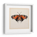 Estudio De Mariposa V - Melissa Wang | Cuadro decorativo de Canvas Lab