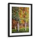 Aspen Glen I - David Drost | Cuadro decorativo de Canvas Lab