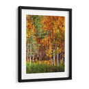 Aspen Glen Ii - David Drost | Cuadro decorativo de Canvas Lab