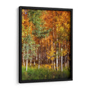 Aspen Glen Ii - David Drost | Cuadro decorativo de Canvas Lab