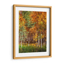 Aspen Glen Ii - David Drost | Cuadro decorativo de Canvas Lab